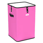 Trash Cache BinRed Violet