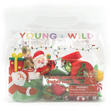 Christmas Sensory Dough Bag