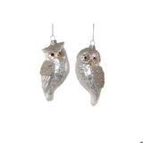 Silver Own Glass Ornament