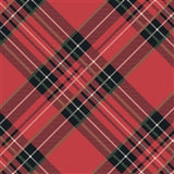 Red Plaid Beverage Napkin
